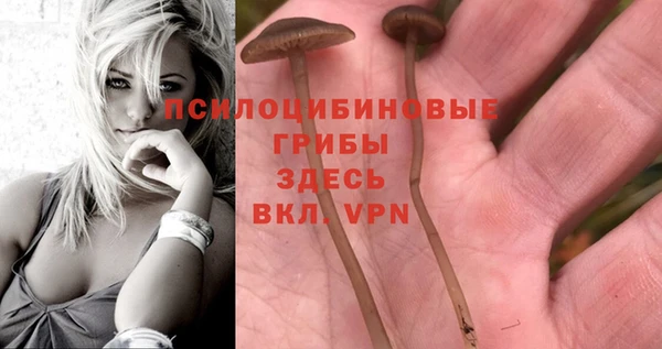 гидропоника Балахна