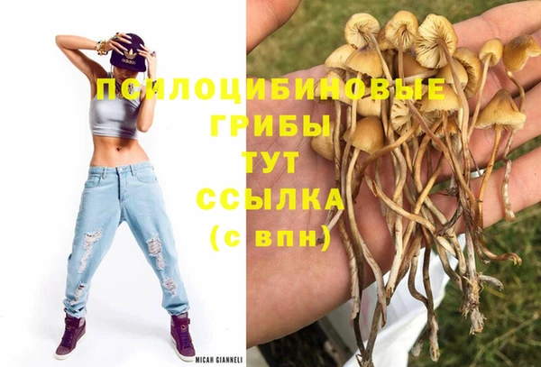 бутират Михайловск