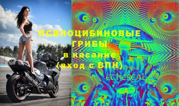 а пвп мука Баксан