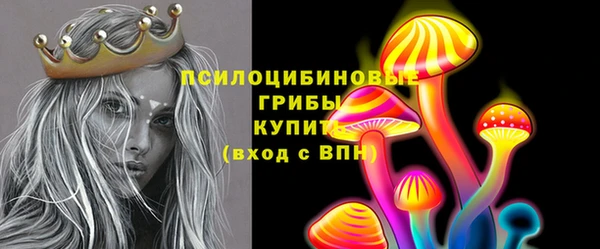ешки Аркадак