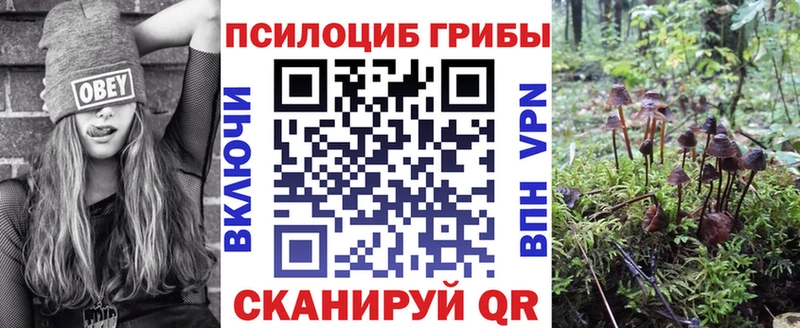 Галлюциногенные грибы GOLDEN TEACHER Геленджик